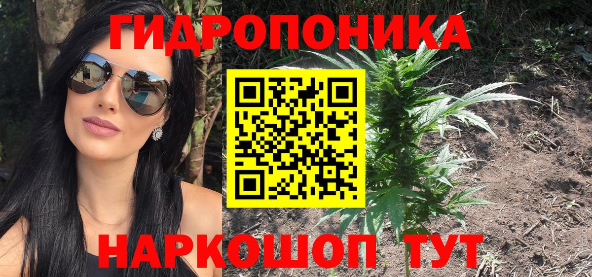 Канабис планчик Тихвин